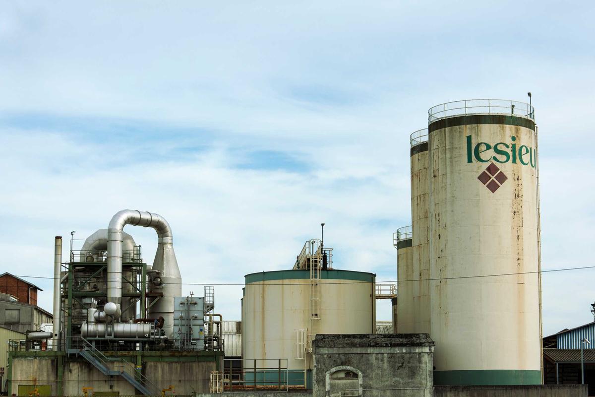 트렌드 블로그
